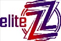 Discraft Z Line Logo