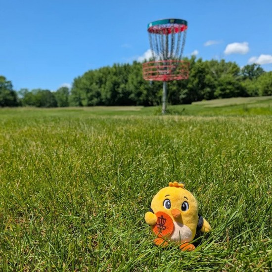 Birdie Buddy 