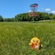 Birdie Buddy 