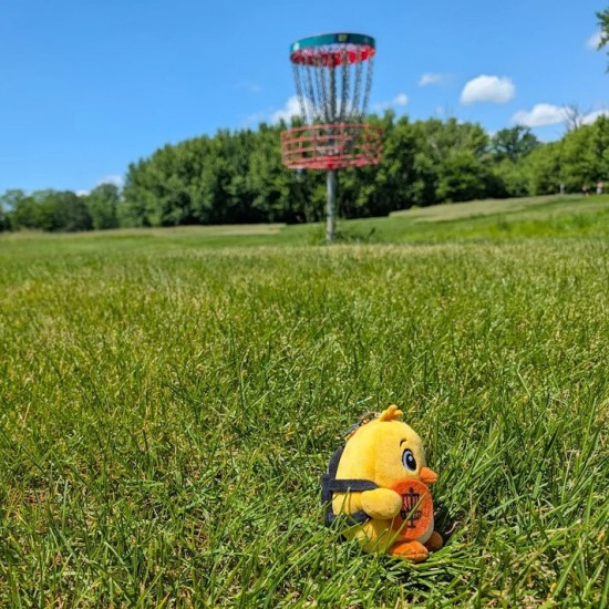 Birdie Buddy 