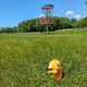 Birdie Buddy 