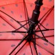 Axiom Umbrella - Watermelon Edition