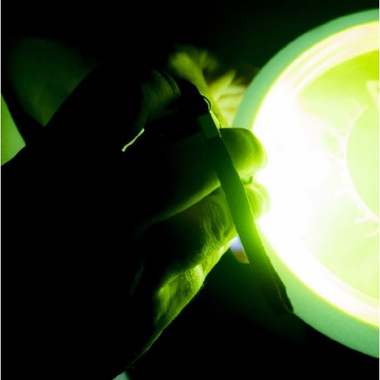MVP UV Flashlight - Large