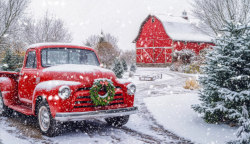 Wishing all of our customers a Merry Christmas and Happy New Year!                                                                                                                                                                                                                                                                                Our store will be closed from December 24, 2025 - December 28, 2025 and December 31, 2025 - January 4, 2026.