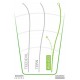 Innova Wahoo - R-Pro