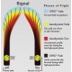 MVP Signal - Neutron MVP Signal - Neutron